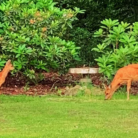 Casa vacanze 4 Person In Toftlund-by Traum