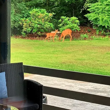 Casa vacanze 4 Person In Toftlund-by Traum *