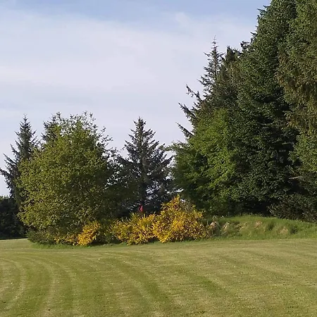 4 Person In Toftlund-by Traum *