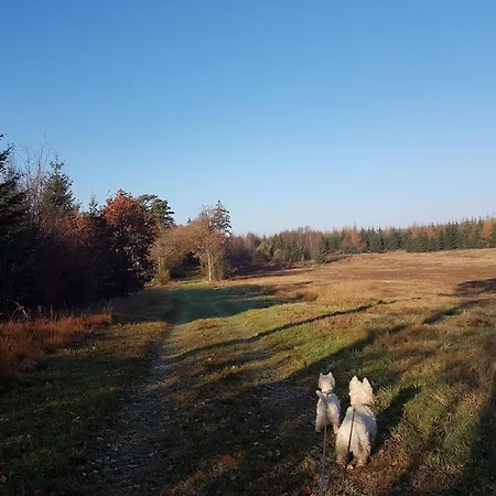 4 Person In Toftlund-by Traum Casa vacanze *