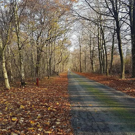 Casa vacanze 4 Person In Toftlund-by Traum Toftlund