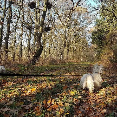 Casa vacanze 4 Person In Toftlund-by Traum